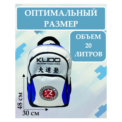 Рюкзак школьный с дизайном Кудо, цвет синий
